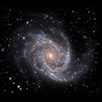 M88