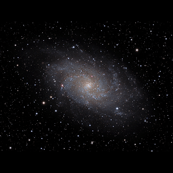 M81